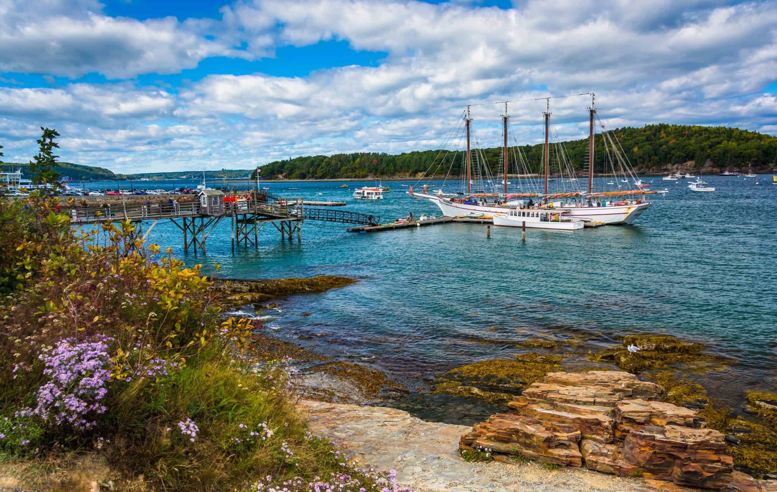 bar harbor main boats